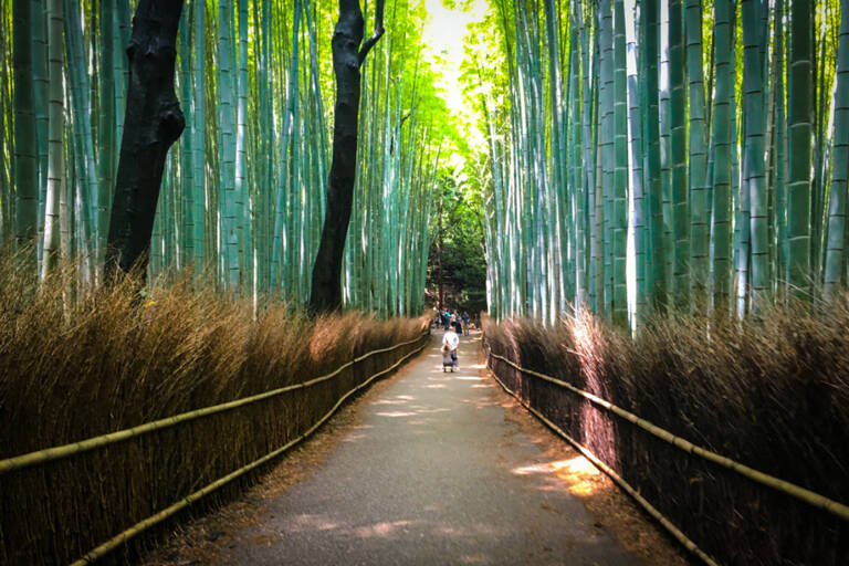 05-Japan-1104
