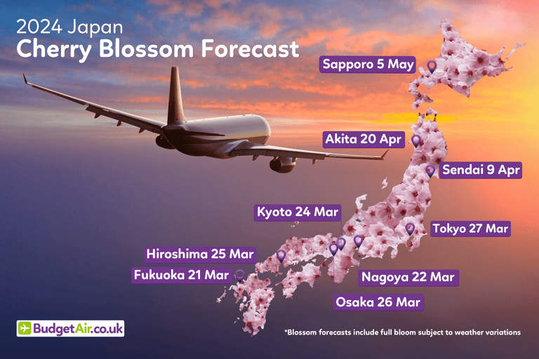05-buauk-cherry-blossom-forecast-2024