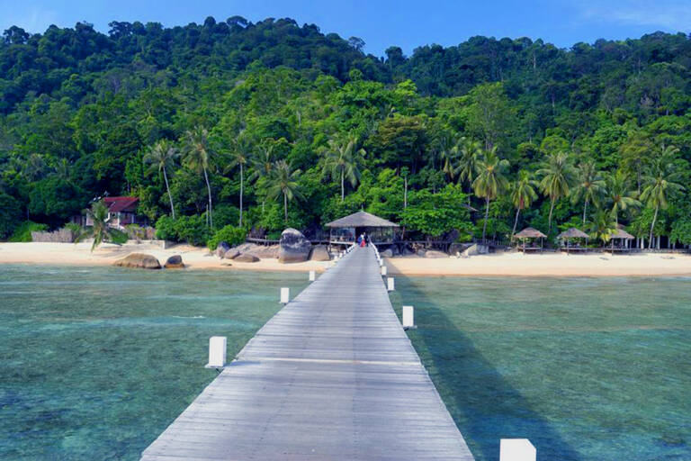 7115574_m_tioman