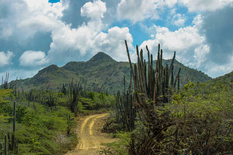 Bonaire-National-Park