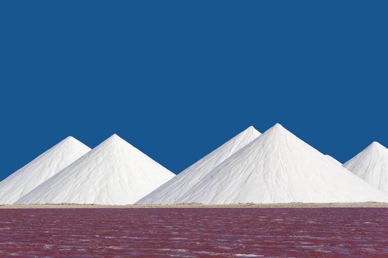 Bonaire-Zoutpannen