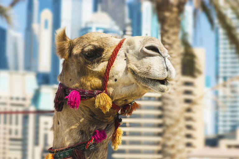 Dubai-high-tea