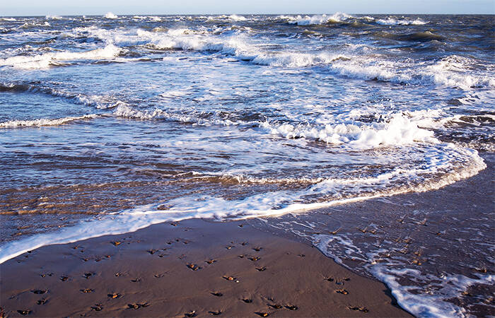 Foto-03-grenen