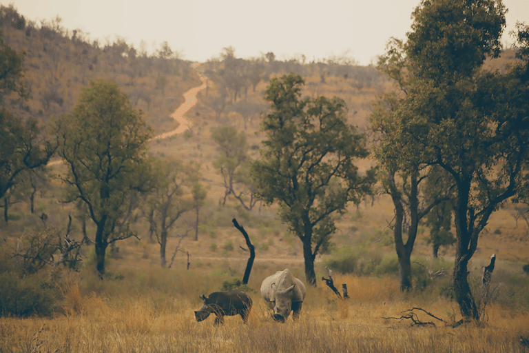 GUESTBLOGGER-WAH-South-Africa-Limpopo-1