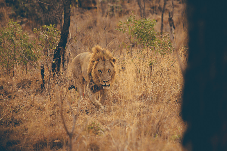 GUESTBLOGGER-WAH-South-Africa-Limpopo-2