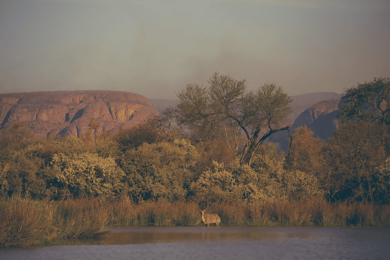 GUESTBLOGGER-WAH-South-Africa-Limpopo-3