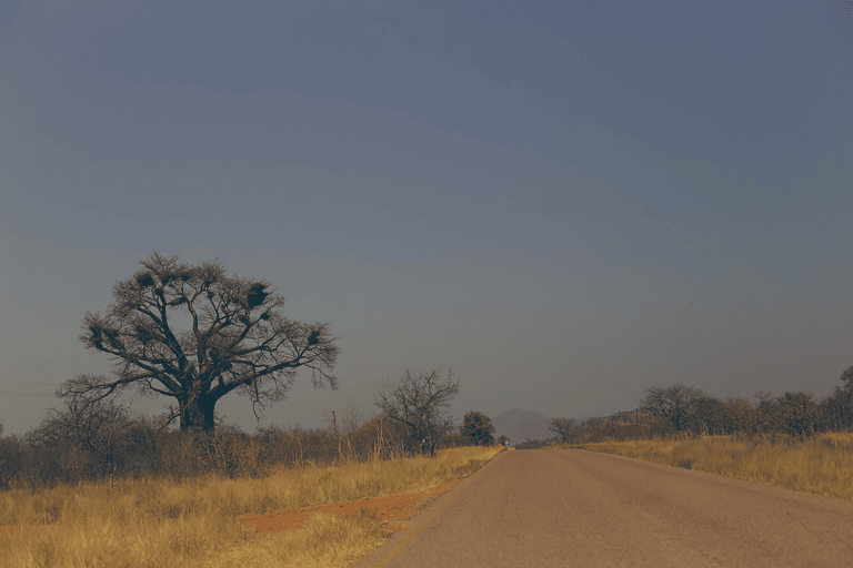 GUESTBLOGGER-WAH-South-Africa-Limpopo-7