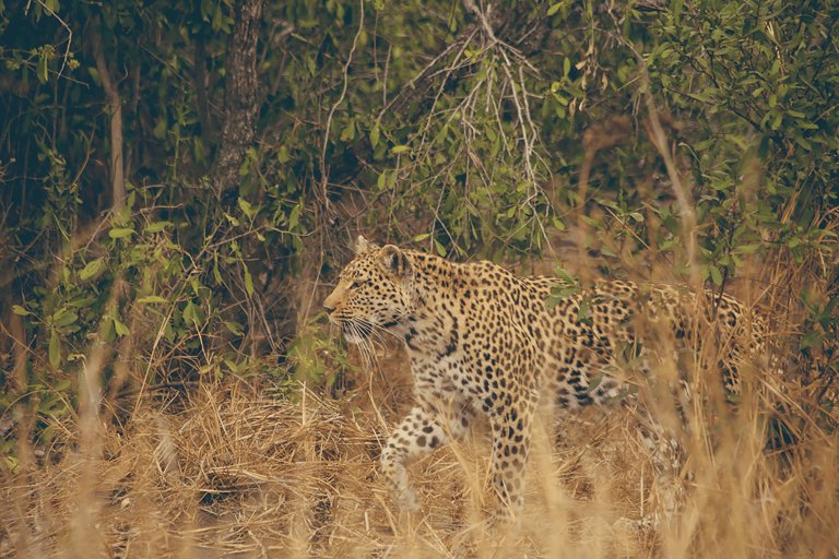 GUESTBLOGGER-WAH-South-Africa-Limpopo-8