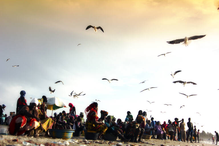 GUESTBLOGGER-WAH-africa-gambia-10