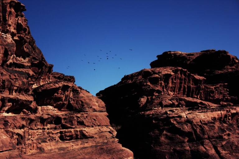 GUESTBLOGGER-WAH-africa-jordan-4