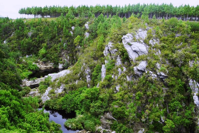 GUESTBLOGGER-WAH-africa-south-africa-garden-route-10