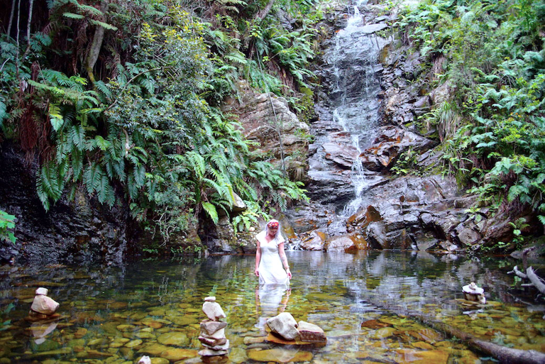 GUESTBLOGGER-WAH-africa-south-africa-garden-route-13