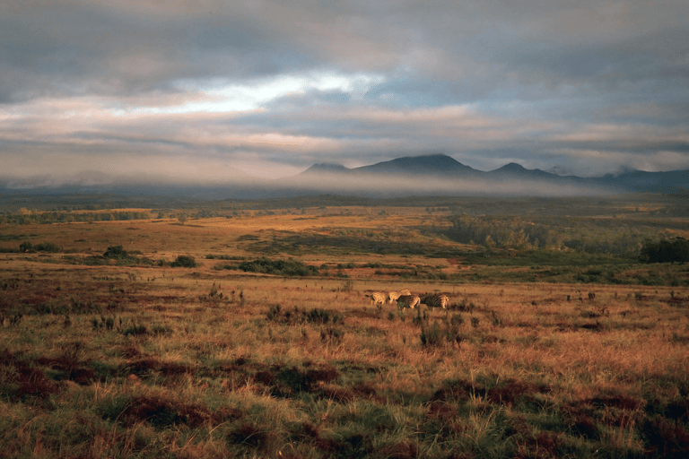 GUESTBLOGGER-WAH-africa-south-africa-garden-route-16