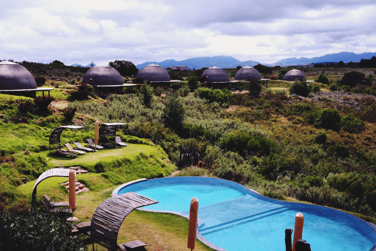 GUESTBLOGGER-WAH-africa-south-africa-garden-route-17