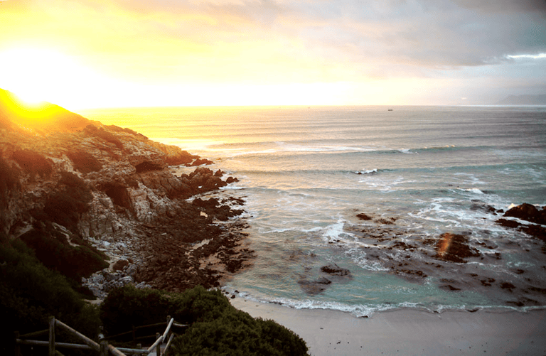 GUESTBLOGGER-WAH-africa-south-africa-garden-route-18