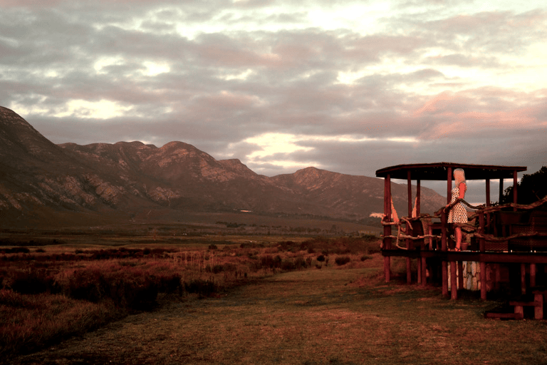 GUESTBLOGGER-WAH-africa-south-africa-garden-route-19