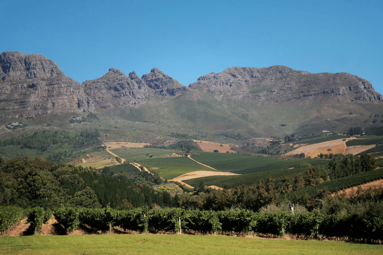 GUESTBLOGGER-WAH-africa-south-africa-garden-route-21