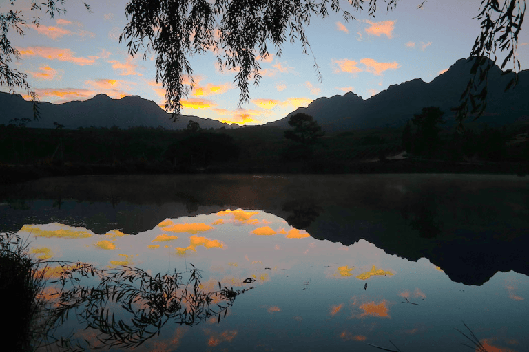 GUESTBLOGGER-WAH-africa-south-africa-garden-route-22