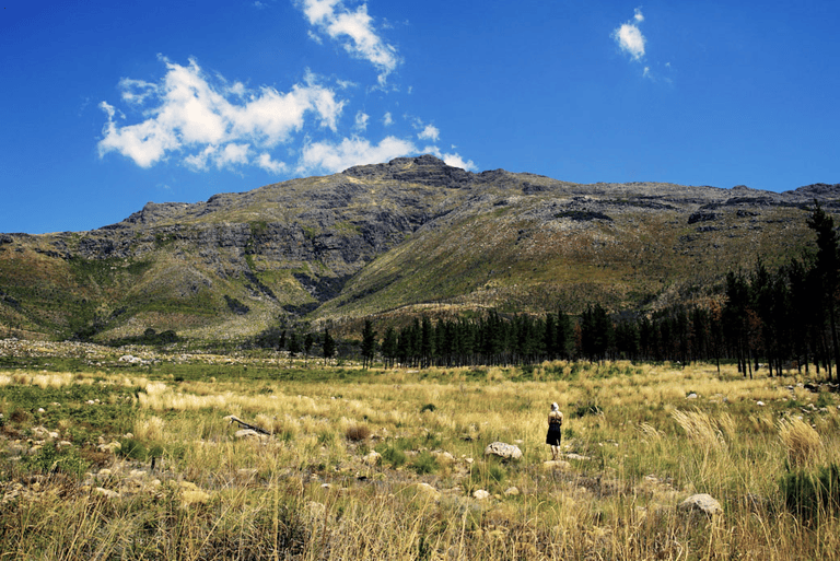 GUESTBLOGGER-WAH-africa-south-africa-garden-route-23