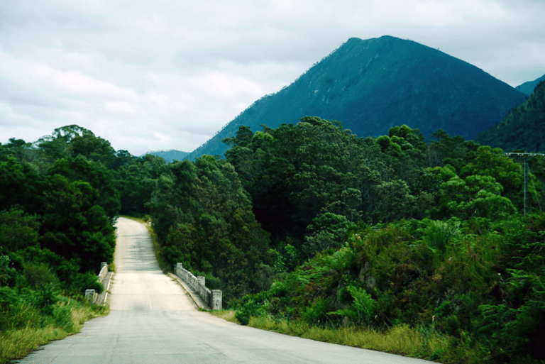 GUESTBLOGGER-WAH-africa-south-africa-garden-route-9