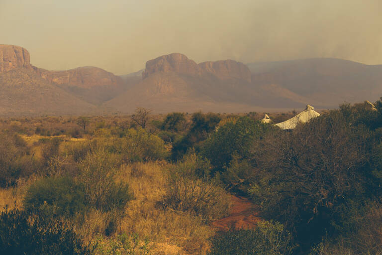 GUESTBLOGGER-WAH-africa-south-africa-marataba-safari-lodge1