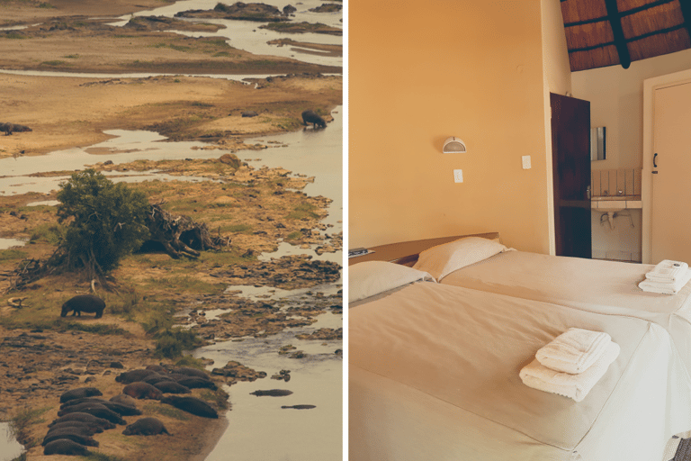 GUESTBLOGGER-WAH-africa-south-africa-satara-1