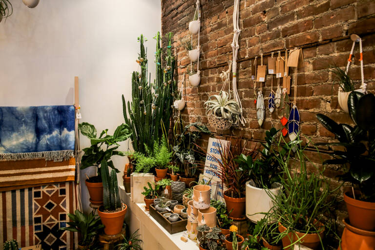 GUESTBLOGGER-WAH-america-united-states-ny-brooklyn-plants