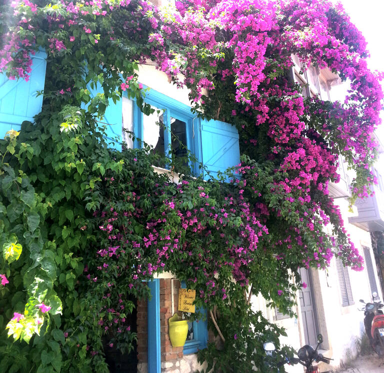 GUESTBLOGGER-WAH-asia-turkey-alacati-0