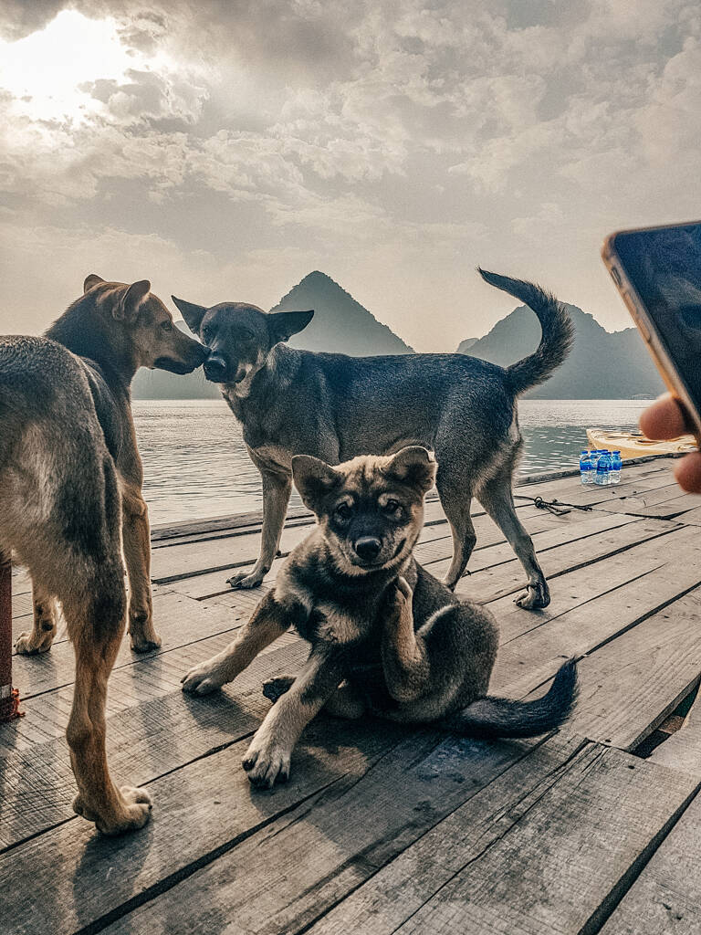 GUESTBLOGGER-WAH-asia-vietnam-la-han-bay-14