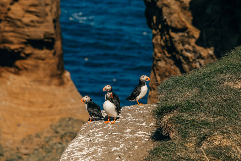 GUESTBLOGGER-WAH-europe-iceland-10