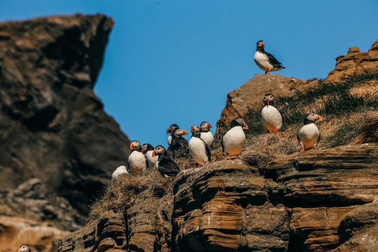 GUESTBLOGGER-WAH-europe-iceland-3