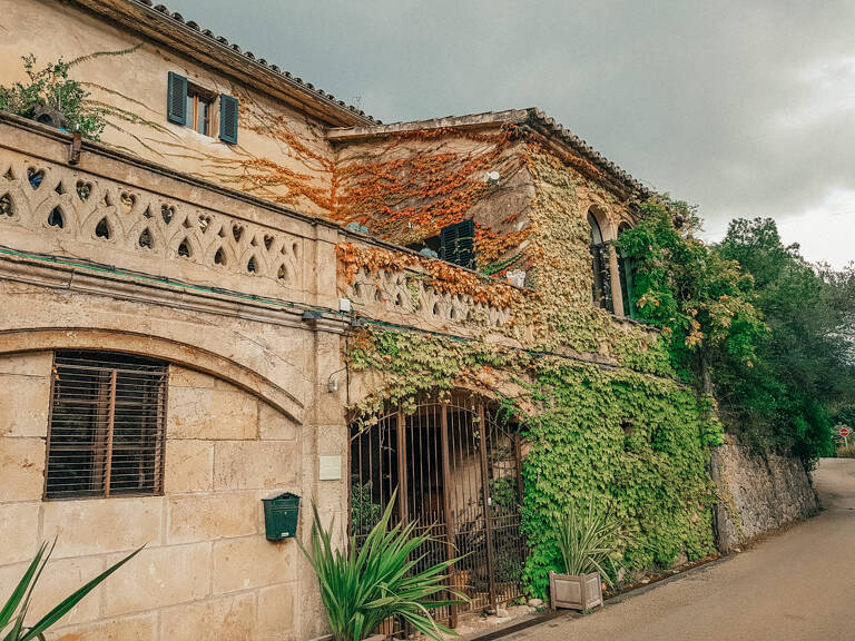 GUESTBLOGGER-WAH-europe-mallorca-11