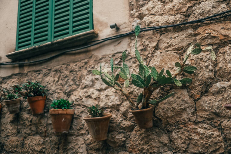 GUESTBLOGGER-WAH-europe-mallorca-9