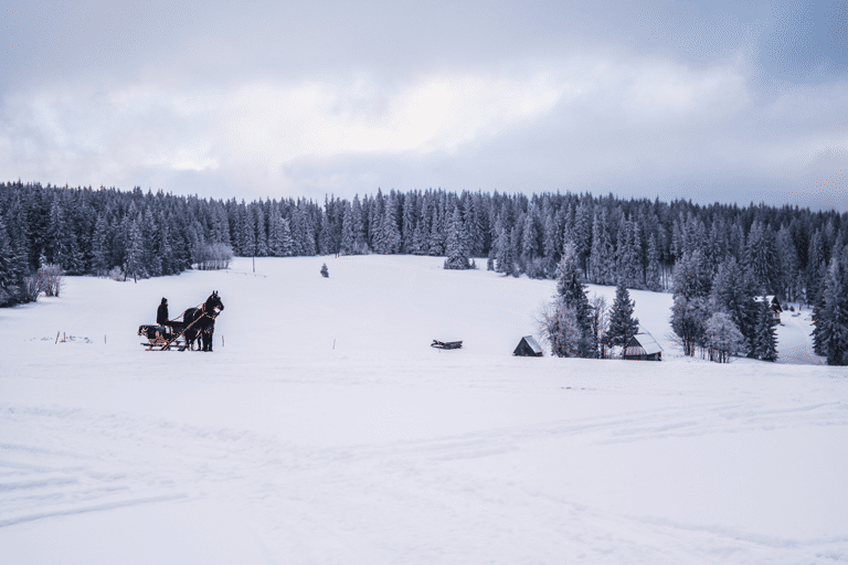 GUESTBLOGGER-WAH-europe-poland-5