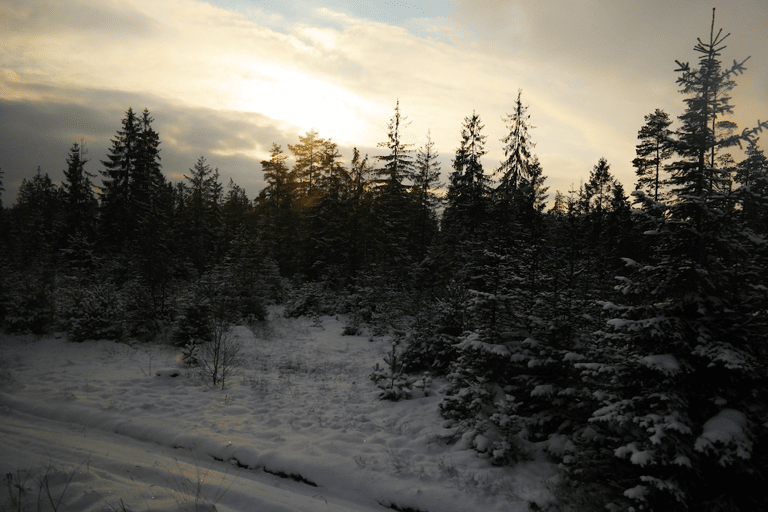 GUESTBLOGGER-WAH-europe-poland-train-9