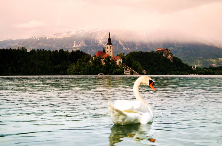 GUESTBLOGGER-WAH-europe-slovenia-campingBled3