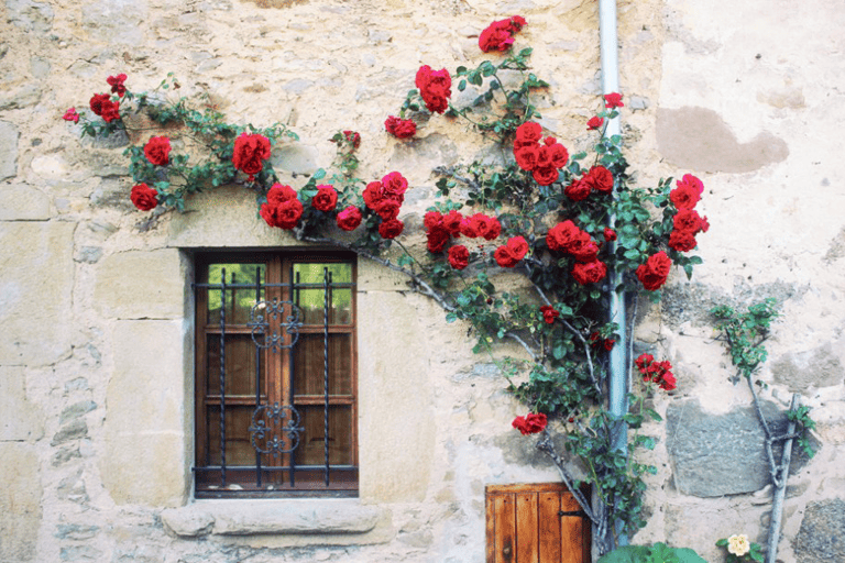 GUESTBLOGGER-WAH-europe-spain-catalonia-lavaldenbas