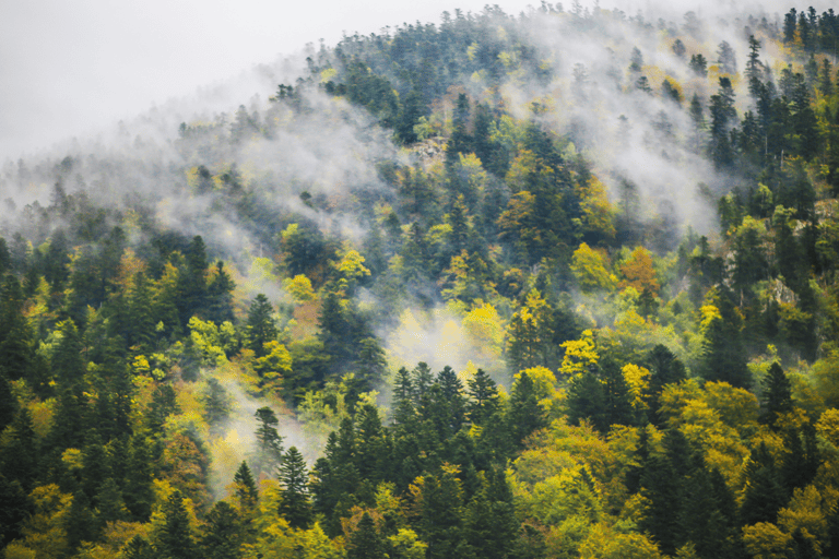 GUESTBLOGGER-WAH-europe-spain-catalonia-mountains