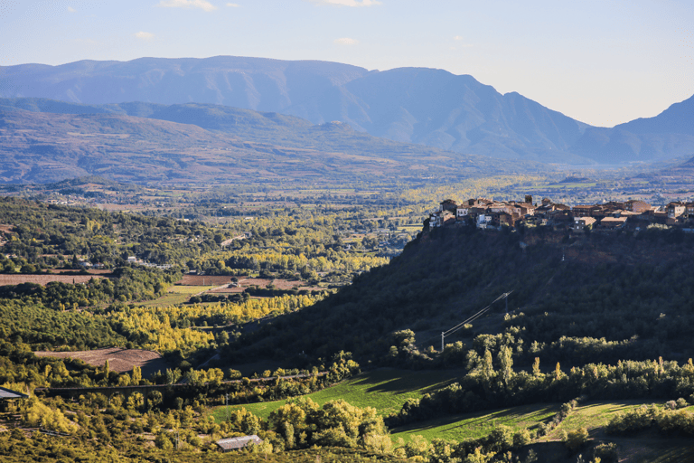GUESTBLOGGER-WAH-europe-spain-catalonia-vineyard