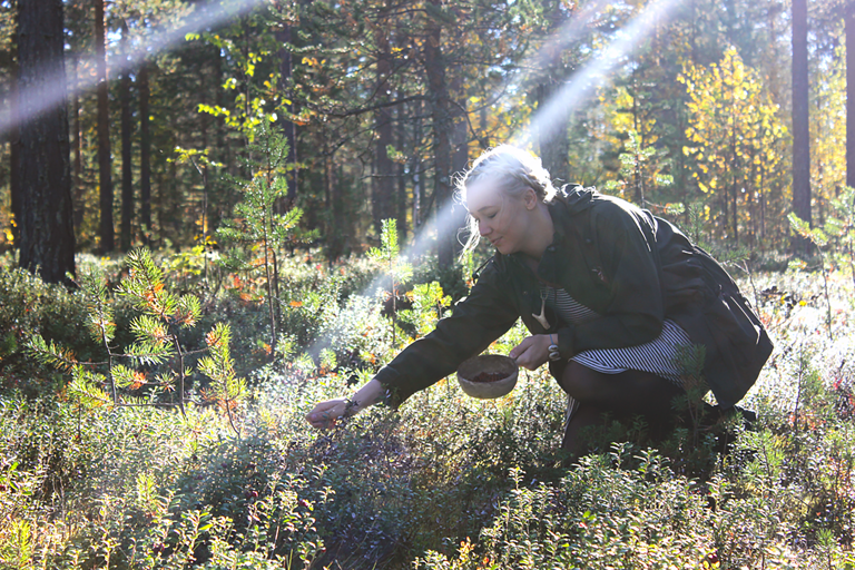 GUESTBLOGGER-WAH-lapland-10