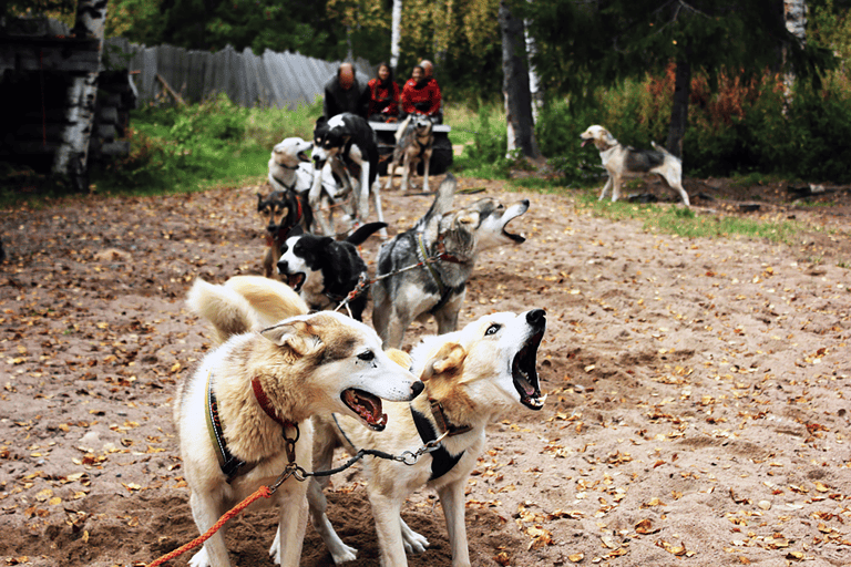 GUESTBLOGGER-WAH-lapland-7