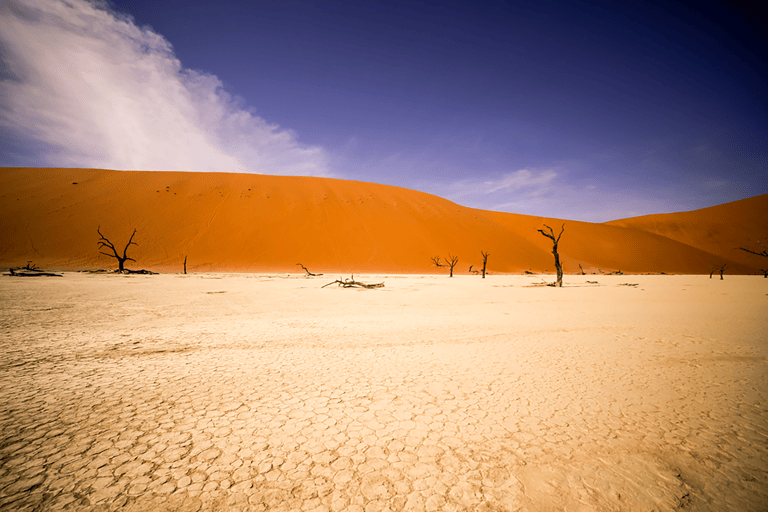 GUESTBLOGGER-WAH-namibie-19
