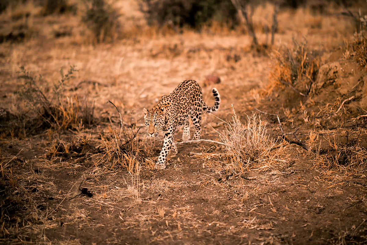Namibië in twee weken: de route en hoogtepunten (deel 1)