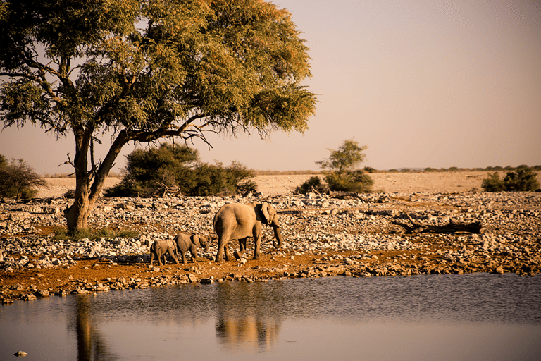 GUESTBLOGGER-WAH-namibie-4