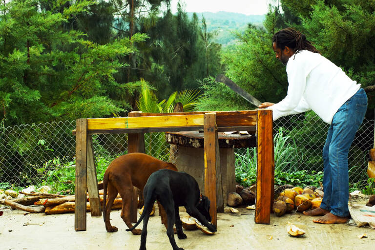 GUESTBLOGGER-WAH-north-america-jamaica-5