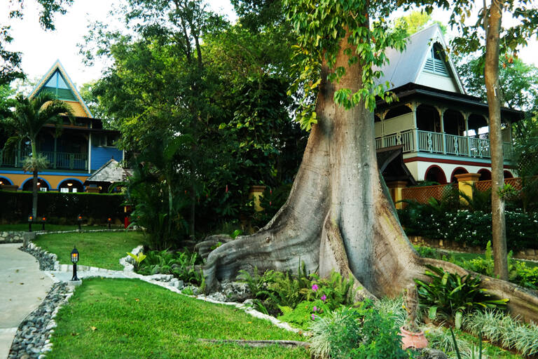 GUESTBLOGGER-WAH-north-america-jamaica-8