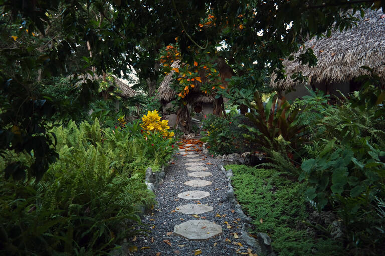 GUESTBLOGGER-WAH-north-america-jamaica-9