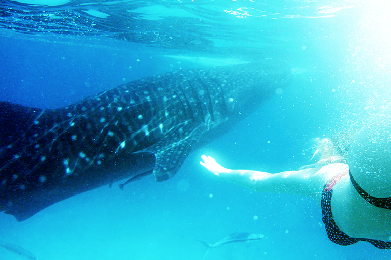 GUESTBLOGGER-WAH-philippines-bohol-10