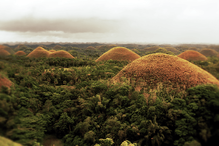 GUESTBLOGGER-WAH-philippines-bohol-6