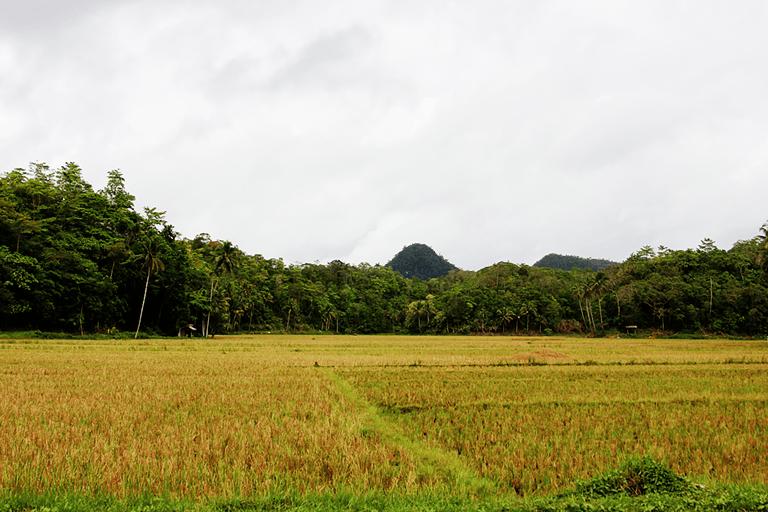GUESTBLOGGER-WAH-philippines-bohol-9